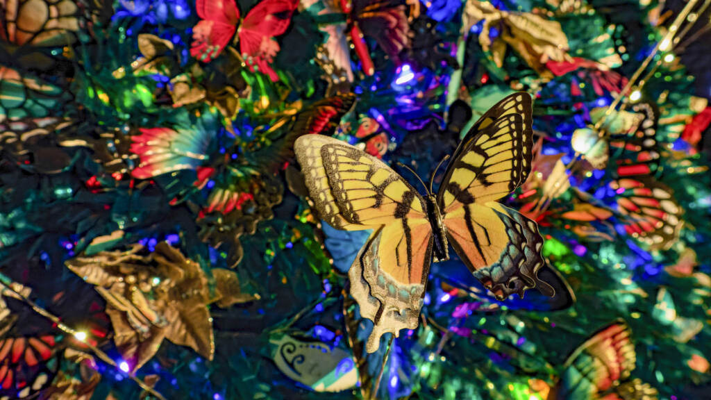 A closeup of the butterfly tree at the Philly Zoo's holiday light show.