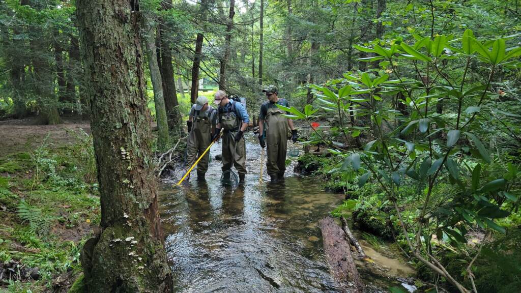 electrofishing-delaware-river-watershed-DK-011822 Academy Scientists Matt Tursi (left), Danny Morrill (center), and Colin Rohrback (right) conduct an electrofishing survey in a headwater stream of the Delaware River