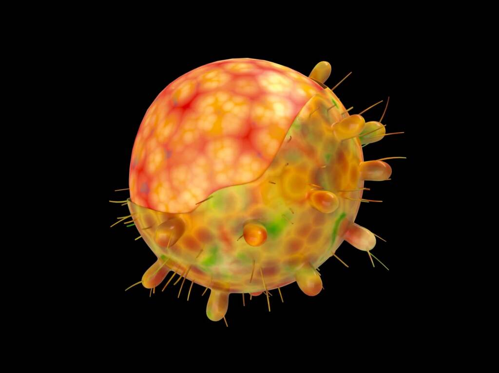 A computer-generated image of the omicron variant of the coronavirus. A computer-generated image of the omicron variant of the coronavirus. (Uma Shankar Sharma/Getty Images)