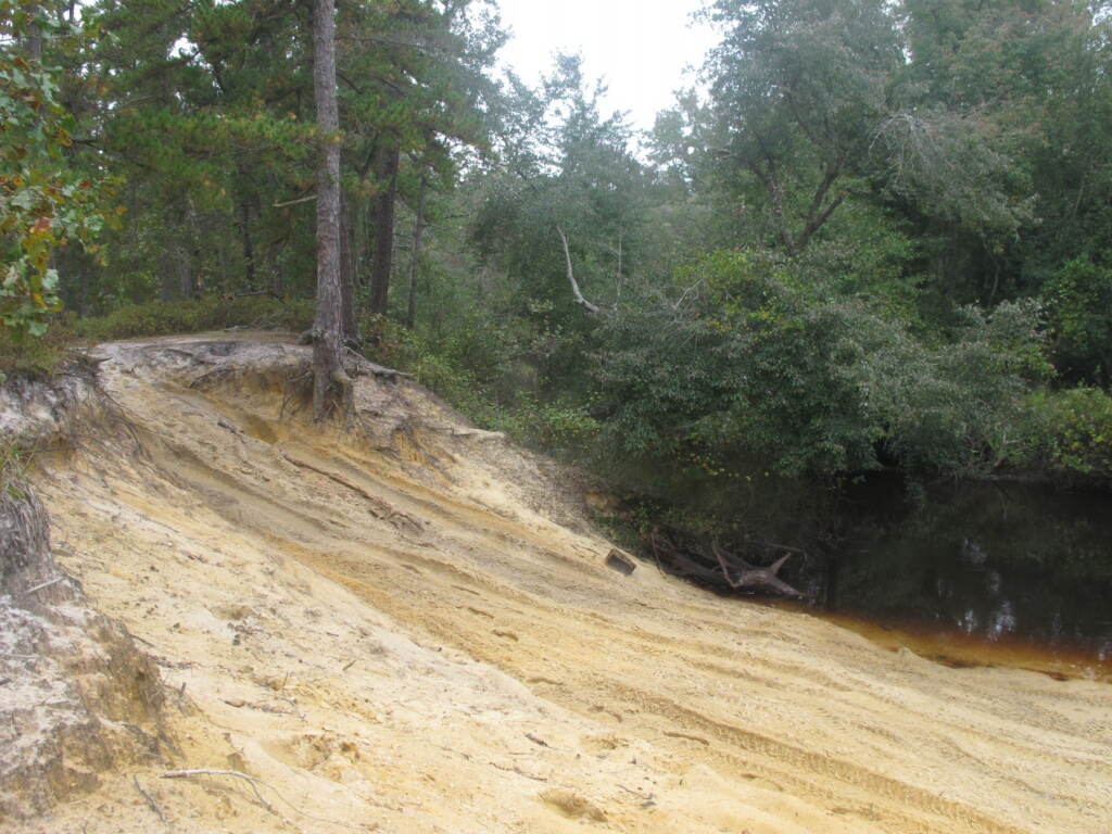Pinelands-Vehicle Damage Tire tracks are seen cut into an area near a river in Wharton State Forest