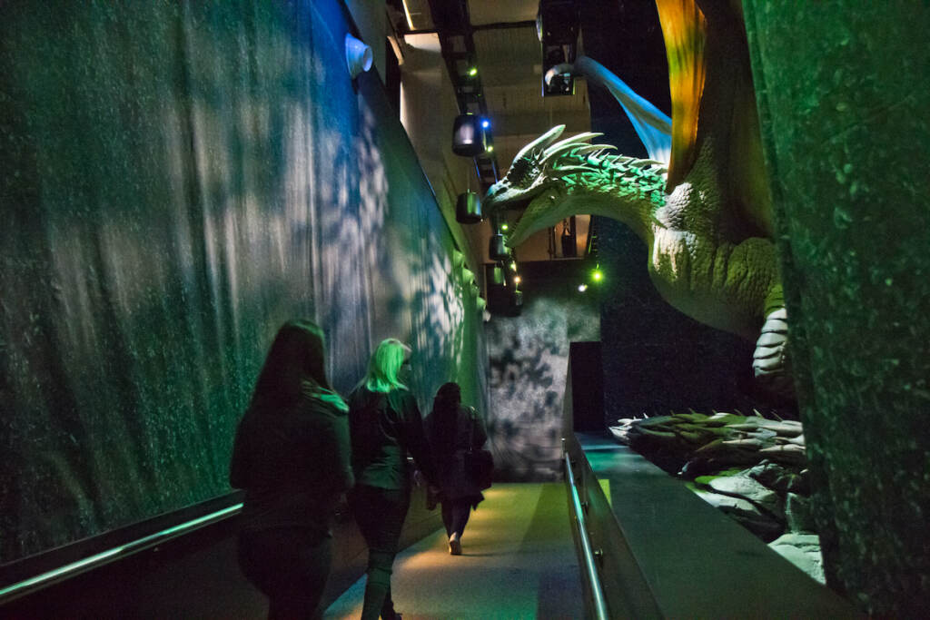 2022 02 17 kpaynter harry potter exhibition opens-9 Norbert, the dragon from the Harry Potter world, recreated at ''Harry Potter™: The Exhibition'' at the Franklin Institute in Philadelphia. (Kimberly Paynter/WHYY)