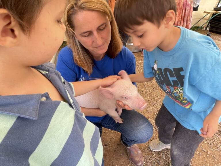 Rosie Alfaro and her two sons, Marcus and Mason at their farm in Bucks County. (Courtesy of Earth's Best Organics)