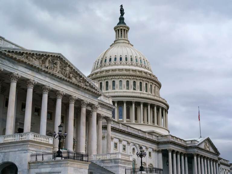The U.S. Capitol