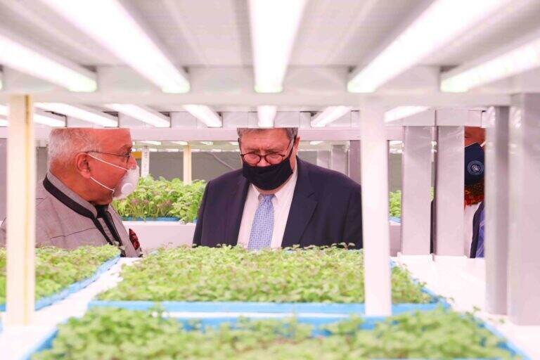 Second Chances Farm founder Ajit George gives a tour of the growing area to then-U.S. Attorney General William Barr in September 2020. (Saquan Stimpson for WHYY)