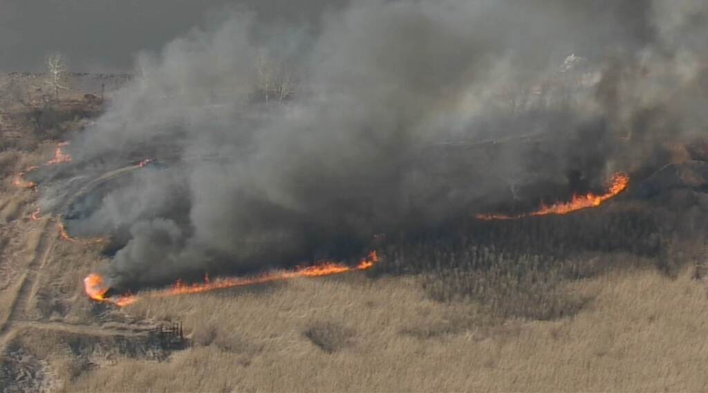11656756_031722-wpvi-nj-brush-fire-chopper-raw-vid (6abc)