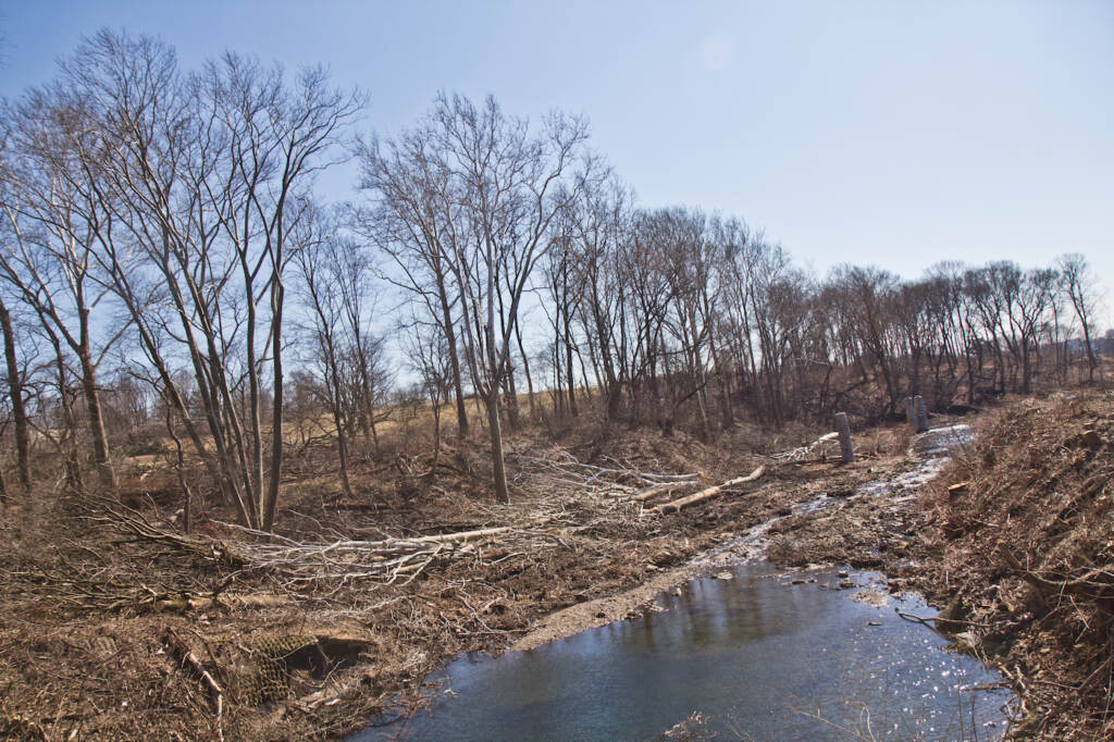2022 02 27 kpaynter cobbs creek tree removal-6 A view of a creek and a piece of land stretching into the distance.