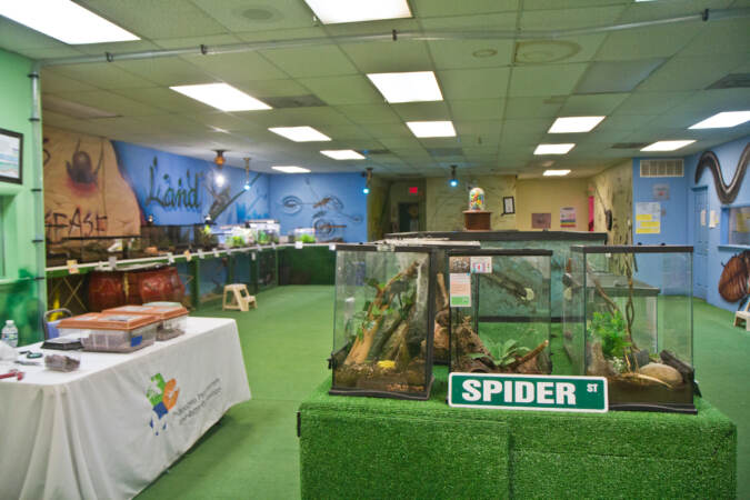 A room of enclosed insects.