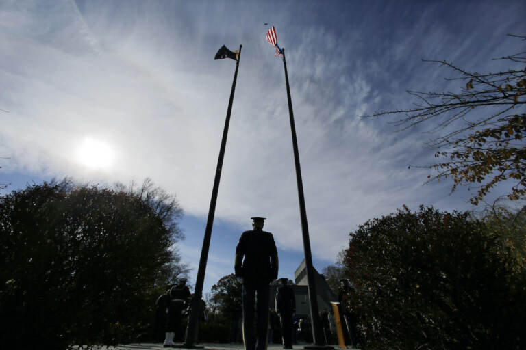 Military personnel stand at attention during Veterans Day ceremonies