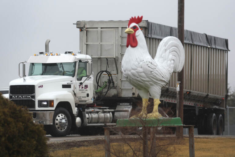 A truck drives out the entrance of the Cold Springs Eggs Farm where the presence of avian influenza was reported to be discovered, forcing the commercial egg producer to destroy nearly 3 million chickens on March 24, 2022 near Palmyra, Wisconsin. (Photo by Scott Olson/Getty Images)