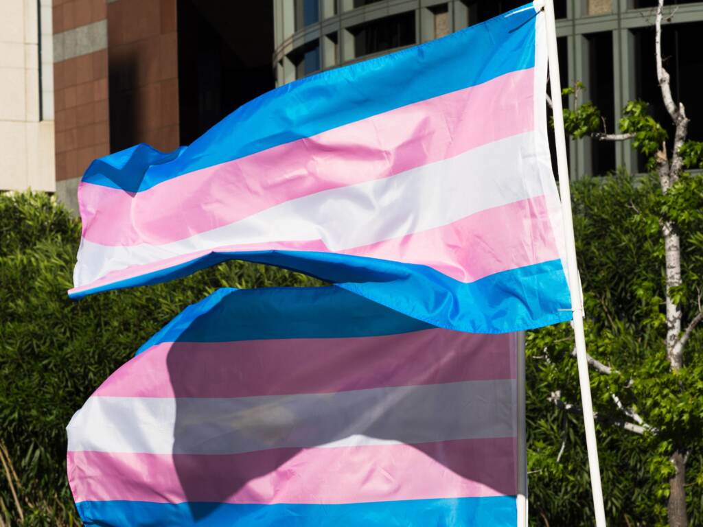 Republican-pushed bills are seeking to deny minors access to hormone therapy and puberty blockers. Both are treatments that have been vetted and peer-reviewed by mainstream medical organizations, including the American Academy of Pediatrics. Trans pride flags flutter in the wind at a gathering to celebrate International Transgender Day of Visibility