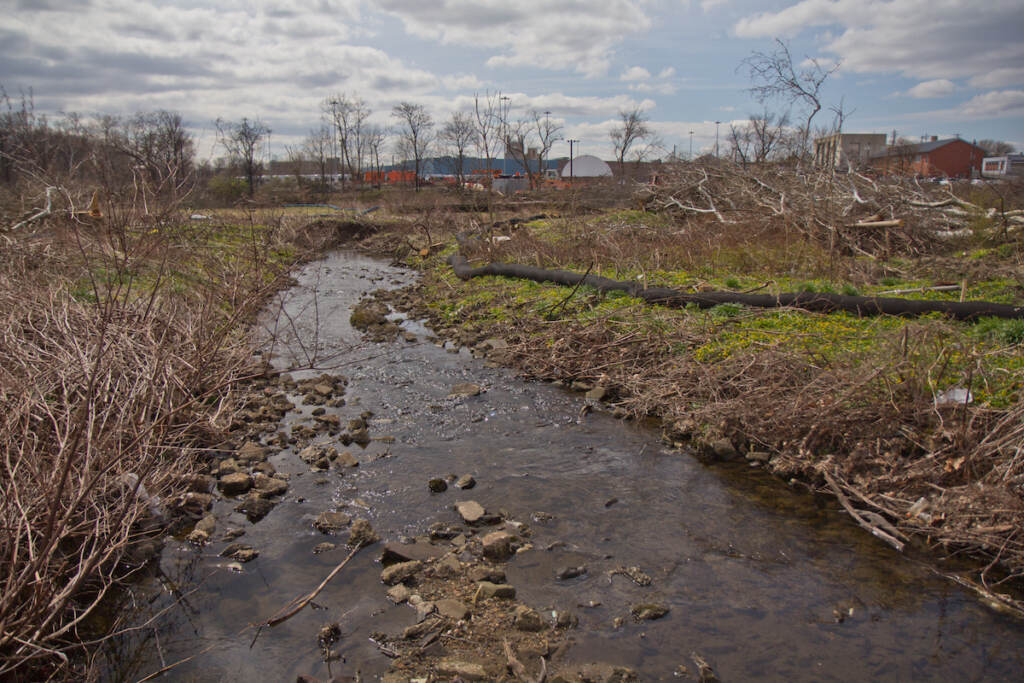 2022 04 05 k paynter cobb greek golf course deforestation-2 A sock filled with wood chips along the creek at the Cobbs Creek Golf Course is said to help prevent erosion.