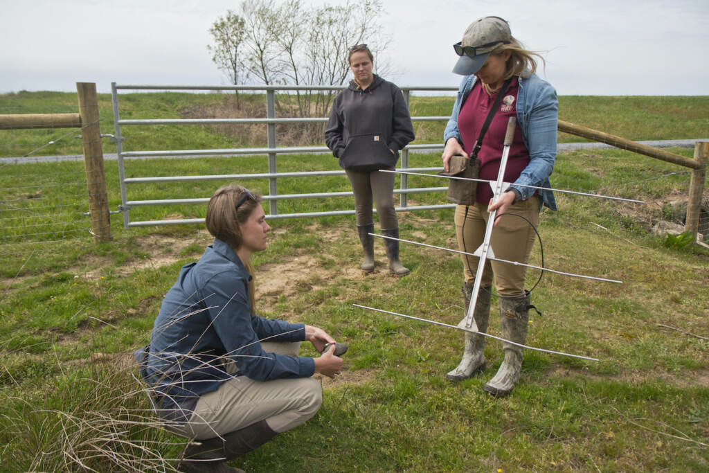 Danielle Bara, Alyssa Bright, and Kristen Meistell demonstrate how New Jersey Audubon tracks bog turtles in wetlands