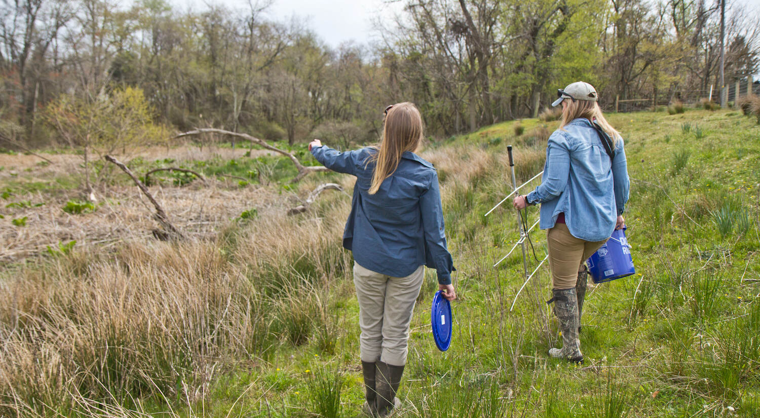 Danielle Bara and Kristen Meistrell transport bog turtles on a farm