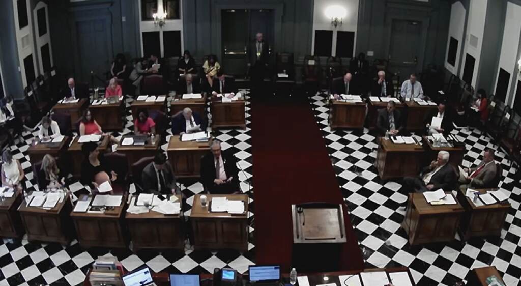 Delaware senate The Delaware Senate passed the $300 tax rebate bill unanimously on Thursday. (State of Delaware)