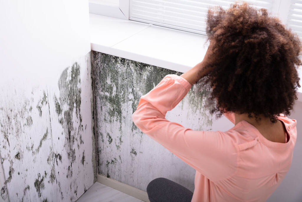 Side View Of A African Young Woman Looking At Mold On White Wall Washington’s landlord-tenant law shrugs at tenants and winks at landlords, especially when it comes to mold. Not so in New York and California. (AndreyPopov)