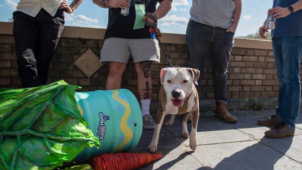 pbrkegghunt-09crop-1024×576 A dog stands next to an Easter