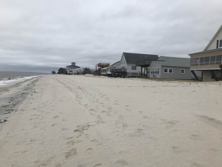 The state's recently completed nourishment project in Pickering Beach, showing a wide beach berm and newly planted beach grass, largely held its ground and kept the storm from causing damage further inland. (DNREC photo)