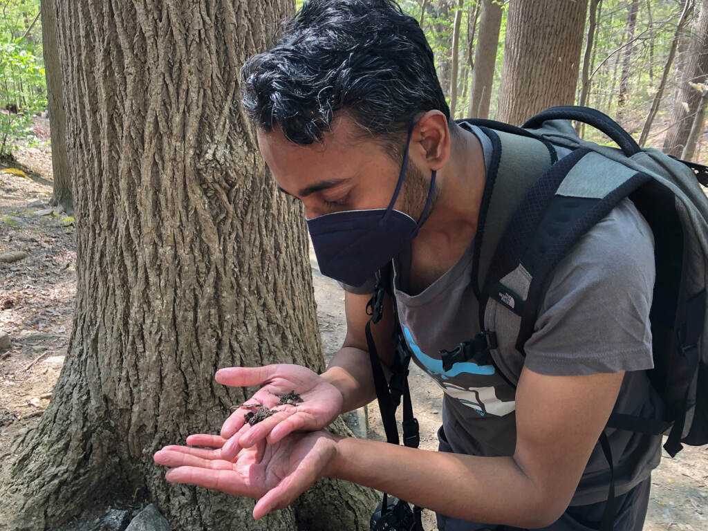 city-nature-challenge-s-schmidt-05042022-2 Navin Sasikumar, one of the organizers of the City Nature Challenge in Philadelphia, looks for insects. (Sophia Schmidt/WHYY)