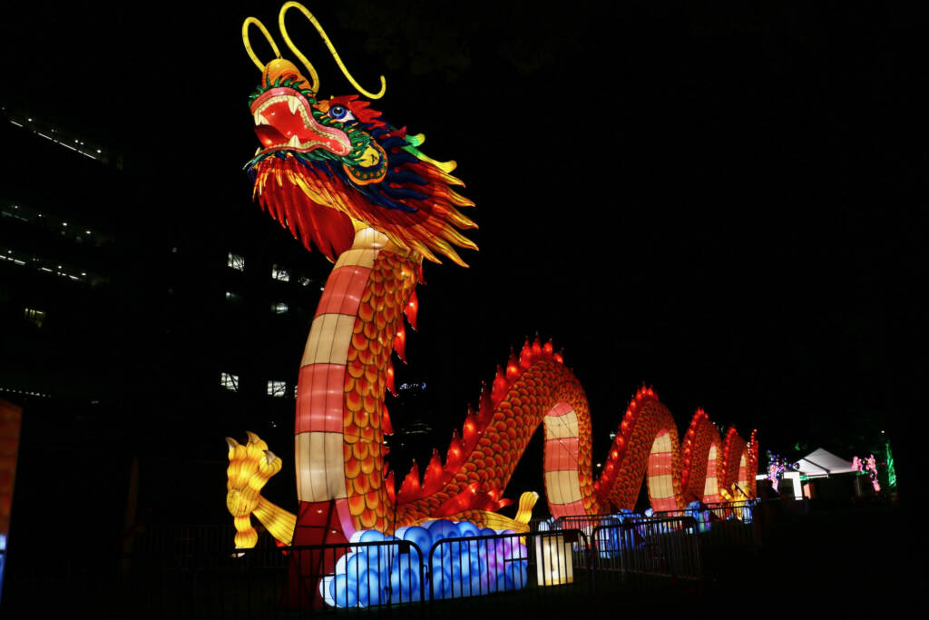 2022 06 20-e lee-philadelphia franklin square-chinese lantern festival dragon The 200-foot-long, 21-foot-high dragon lantern glows red in the dark.