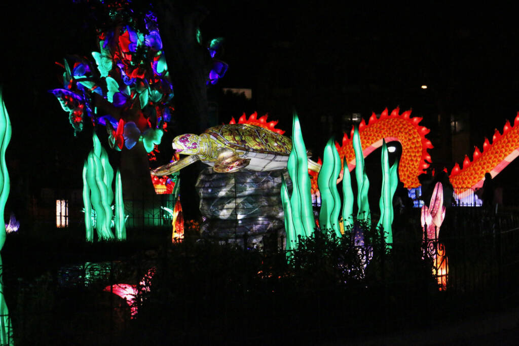 2022 06 20-e lee-philadelphia franklin square-chinese lantern festival turtle A sea turtle lantern sits in the midst of an underwater environment created from Chinese lanterns.
