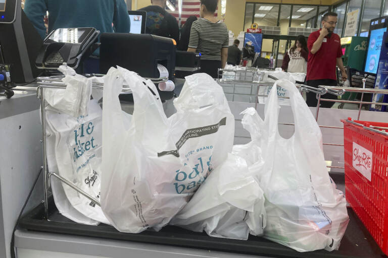 Single-use plastic bags