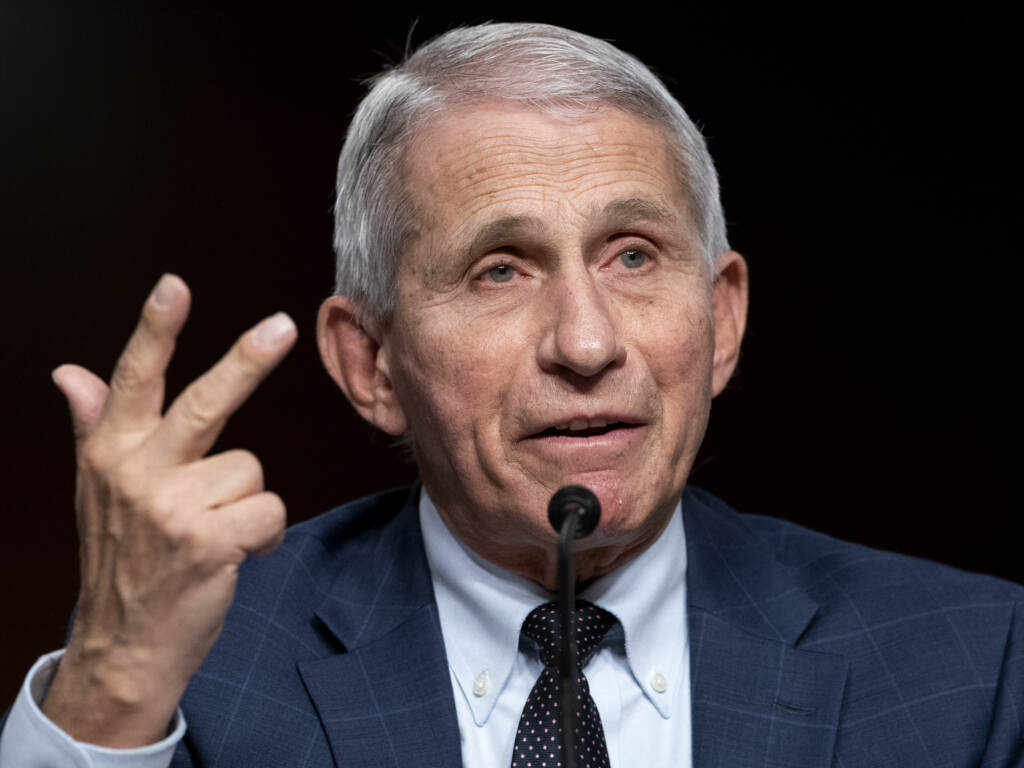Dr. Anthony Fauci testifies before a Senate Health, Education, Labor, and Pensions Committee hearing on Jan. 11, 2022 on Capitol Hill. FILE - Dr. Anthony Fauci testifies before a Senate Health, Education, Labor, and Pensions Committee hearing