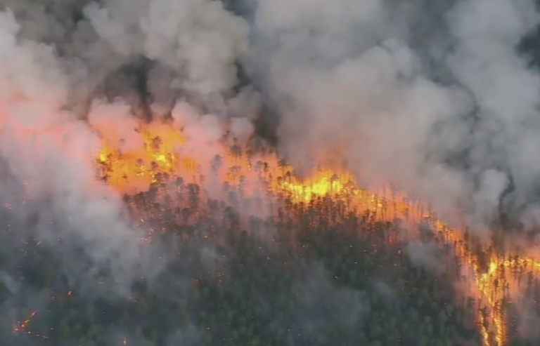 a 2022 wildfire in Wharton State Forest