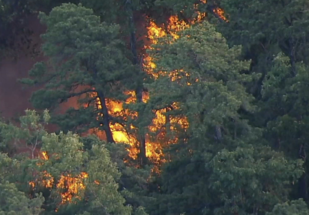 wharton-state-forest-fire-6abc-2022-06-21 Ruling out natural causes, officials are investigating an illegal campfire in a remote area of Wharton State Forest as the potential spark. (6abc)