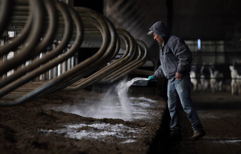 A person sprays something from a hose while preparing fresh bedding.