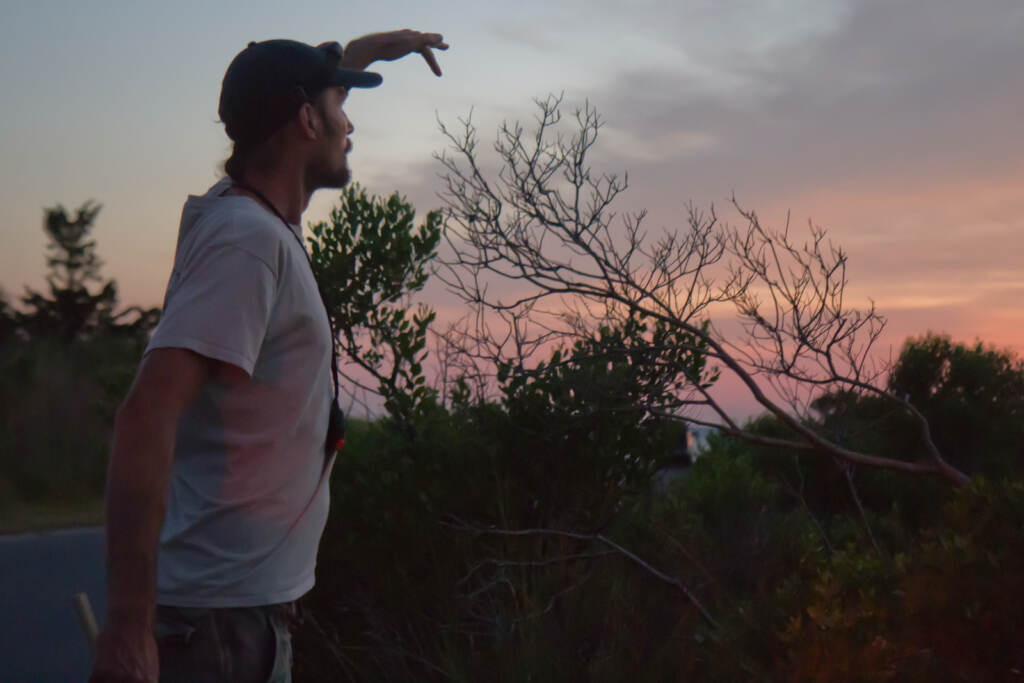 Jason Davis begins looking for emerging fireflies