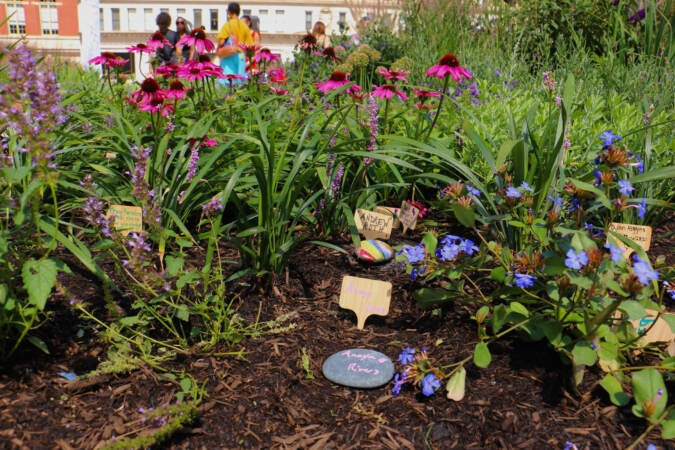 Painted stones and tiny wooden markers are placed among the flowers in the Philadelphia Overdose Memorial Garden at Thomas Paine Plaza. (Emma Lee/WHYY)