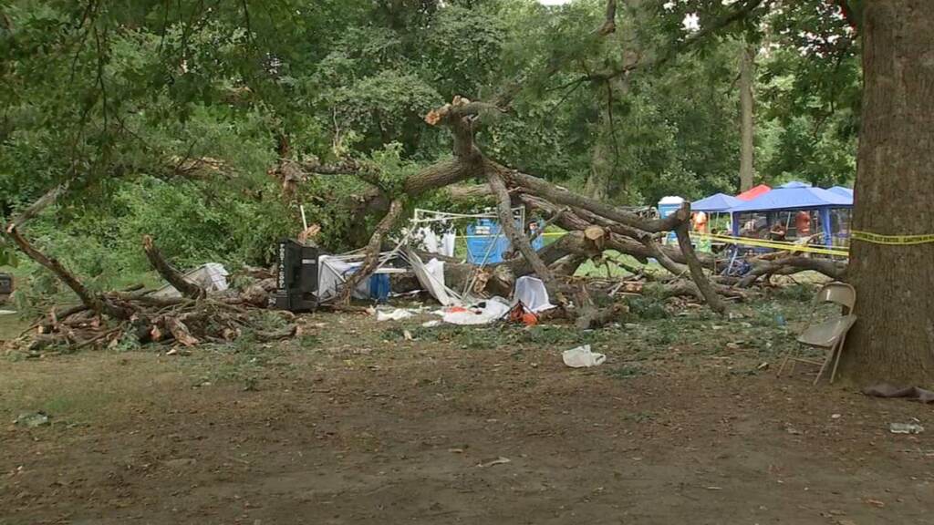 6abc-tree-fall-fairmount-park The fallen tree in Fairmount Park on August 7, 2022.
