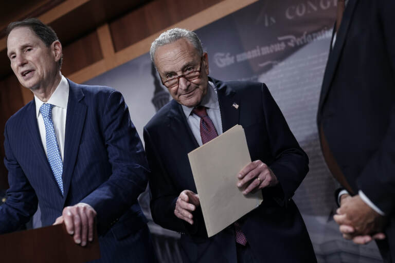 Senate Majority Leader Chuck Schumer, D-N.Y., joined at left by Senate Finance Committee Chair Ron Wyden, D-Ore., speaks to reporters after a closed-door policy meeting, at the Capitol in Washington, Tuesday, Aug. 2, 2022. (AP Photo/J. Scott Applewhite)