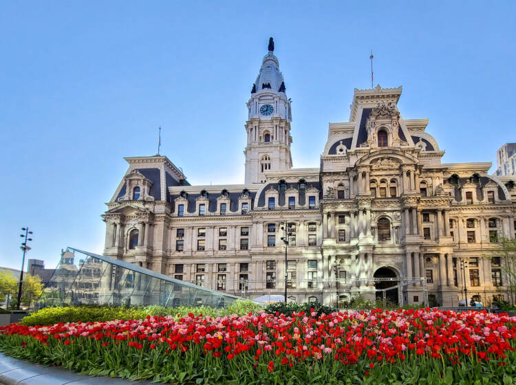 Tulips are pictured outside Philadelphia City Hall.