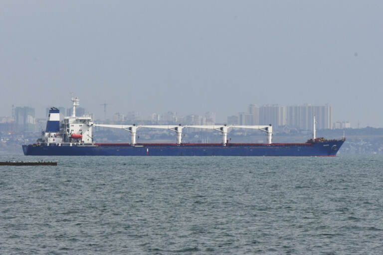 A cargo ship is on the ocean.