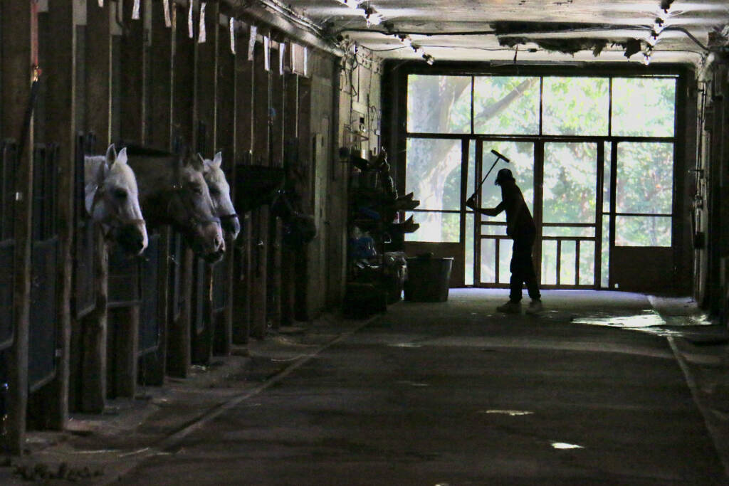 2022 09 21-e lee-esteban penados-philadelphia fairmount park-polo classic work to ride mallet Work to Ride program alumnus Esteban Penados practices his swing at Chamounix Stables, in West Fairmount Park, home of the Work to Ride program. (Emma Lee/WHYY)