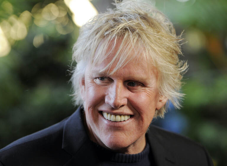 File photo: Gary Busey appears at the Entertainment Studios' Daytime Emmy and series launch party for ''Mr. Box Office'' in Los Angeles on June 19, 2012. (Photo by Chris Pizzello/Invision/AP, File)