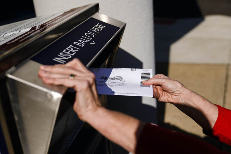 (AP Photo/Matt Rourke, File)