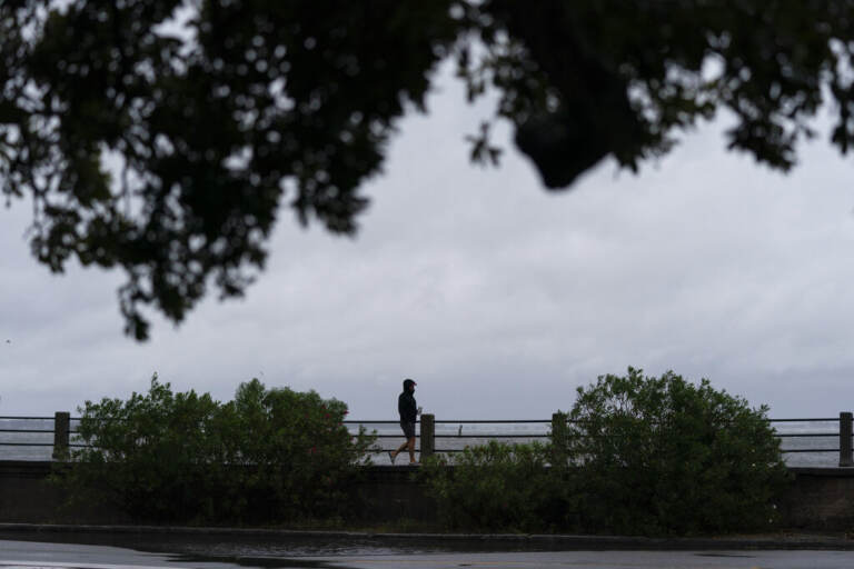 A person walks along a path by the ocean as the wind blows. The sky is gray and stormy.