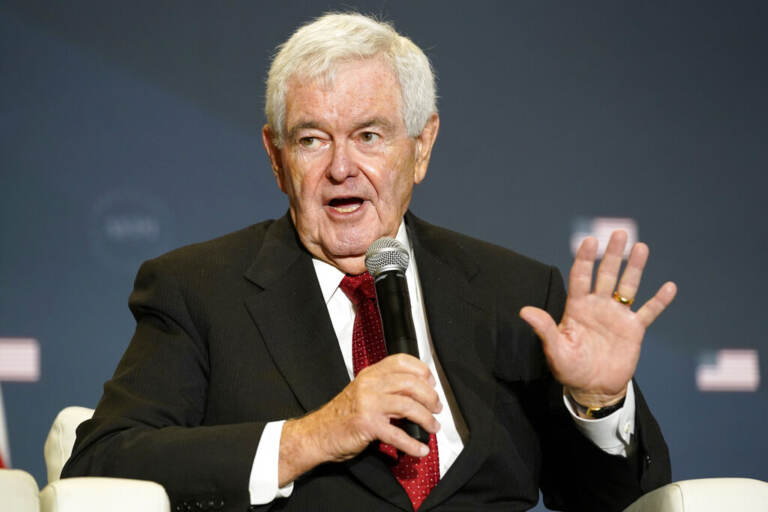 Newt Gingrich holds a microphone while gesturing.