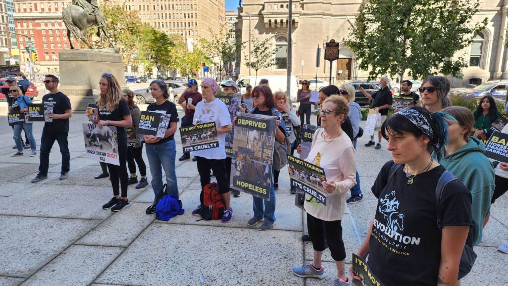 protest-horse-drawn-carriages-1 A group of people stand in a semicircle holding signs.