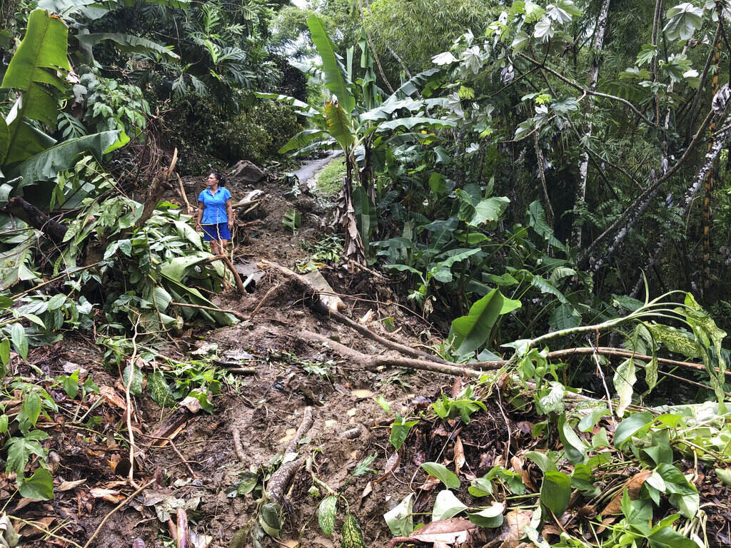 Puerto Rico Tropical Weather A person stands in the midst of fallen branches.