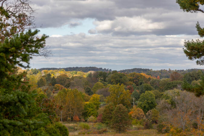 Fall foliage at Morris Arboretum