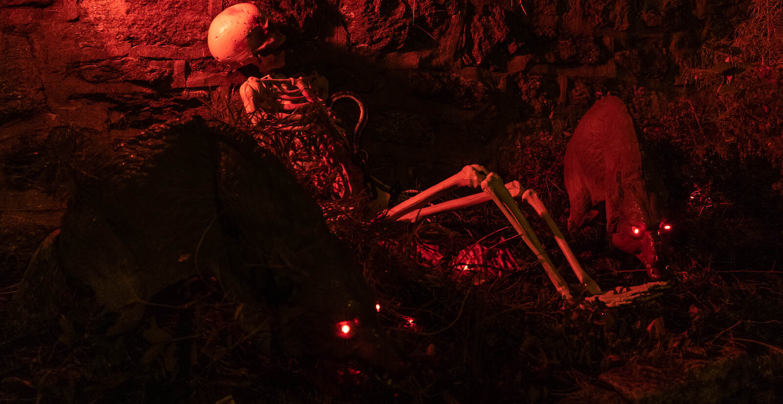 A skeleton is seen on a ''graveyard'' in Wissahickon
