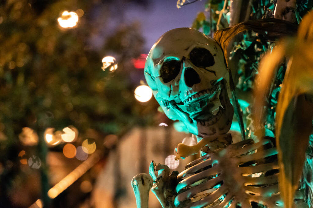 10 27 2022 k paynter possible lead A close-up of a skeleton in Philadelphia.