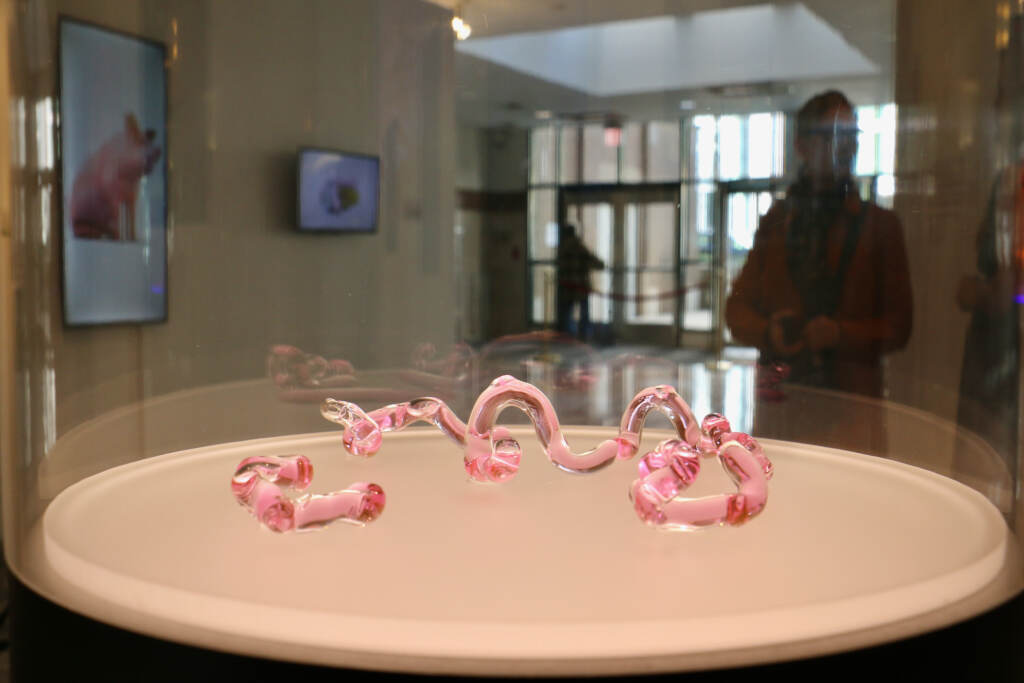 2022 10 07-e lee-philadelphia esther klein gallery-last exhibit love virus An up-close image of pink vials in twisted shapes in a glass display, with a room and someone's silhouette visible in the background.