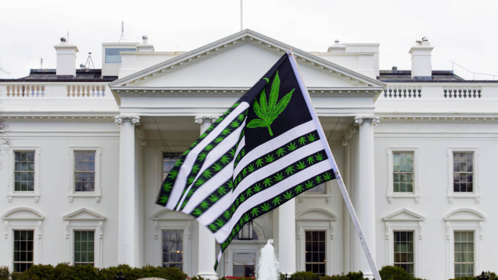 A demonstrator waves a marijuana-themed flag in front on the White House. President Biden is pardoning thousands of Americans convicted of “simple possession” of marijuana under federal law. A demonstrator waves a marijuana-themed flag in front on the White House. President Biden is pardoning thousands of Americans convicted of 'simple possession' of marijuana under federal law. (Jose Luis Magana/AP)