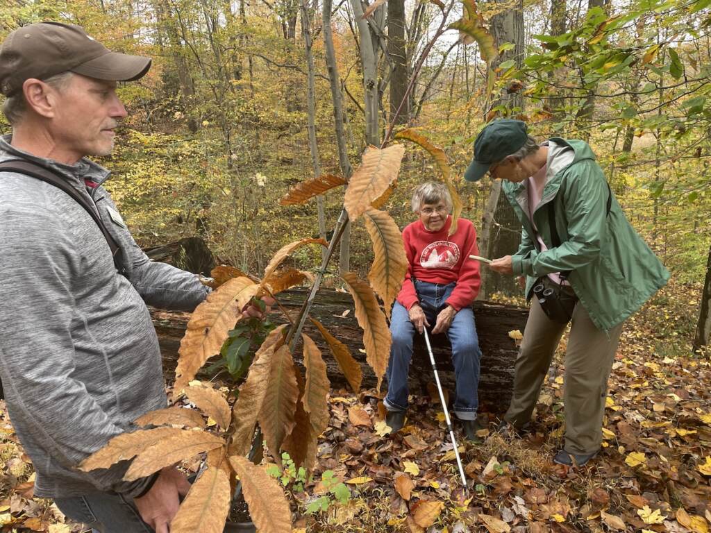 A man holds a young tree in a pot. A woman sits on a log behind him, and another woman bends down and shows the other woman something on her phone.