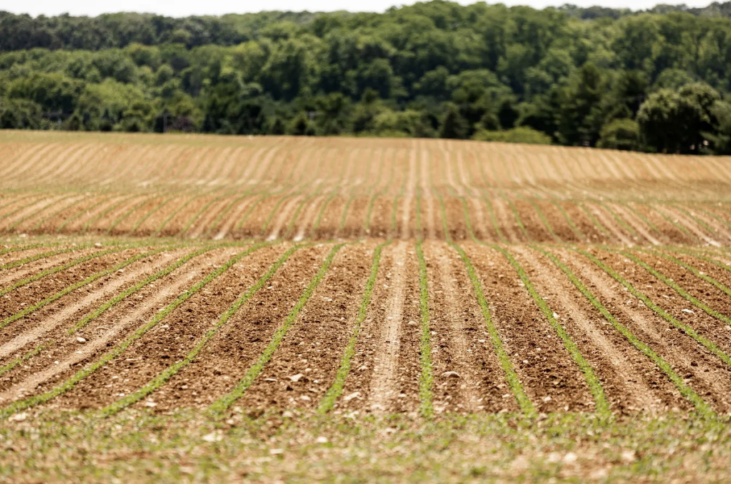 pennsylvania-farm-land-commonwealth-media-services-2022-10-18 Pennsylvania’s $81.5 billion agriculture sector supported 301,900 jobs and $14.5 billion in labor income in 2019, according to the state Department of Agriculture. (Commonwealth Media Services)