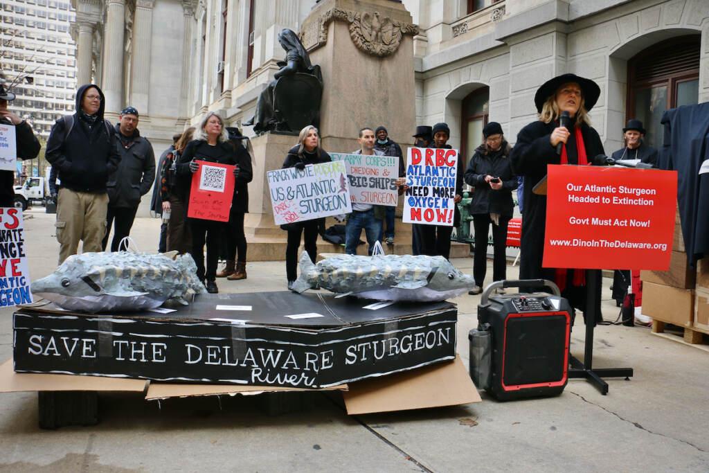 2022 11 16-e lee-philadelphia city hall-atlantic sturgeon protest A group of protesters gather outside Philadelphia City Hall to call for measures to protect the Delaware River's dwindling Atlantic sturgeon population. (Emma Lee/WHYY)